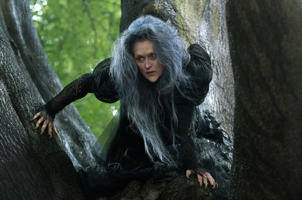 ميريل ستريب في دور الساحرة في فيلم Into the Woods عام 2014..png