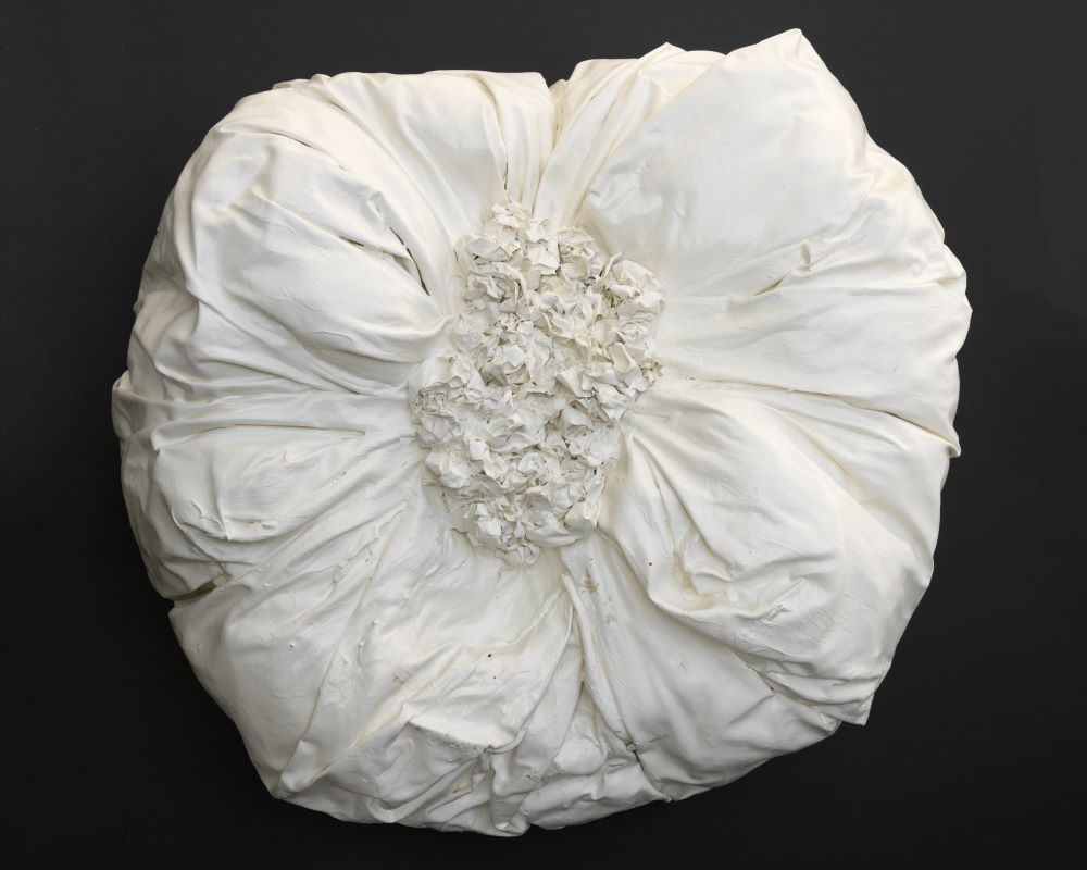 زهرة بيضاء من سلسلة زهور تفتحت في احجار الاسمنت المكسور- ذكرى انفجار 4 آب 2020.jpg