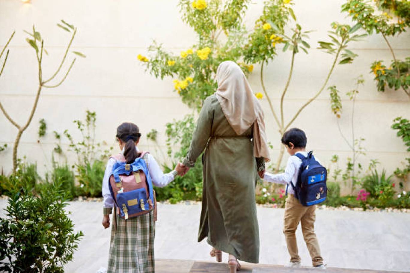 1137980-324365085 (1).jpg