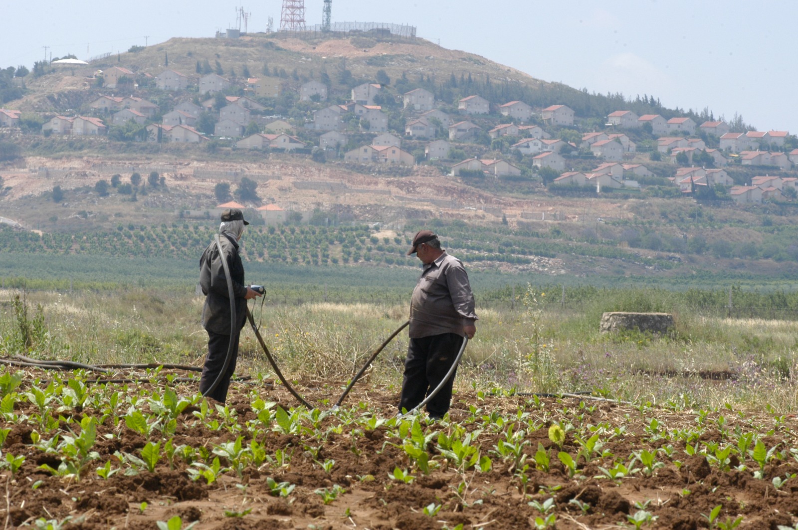 WhatsApp Image 2026-01-15 at 16.43.05 (2).jpeg