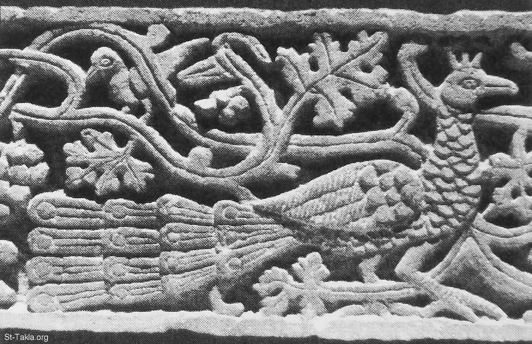 www-St-Takla-org--Peacock-Coptic-Museum.jpg