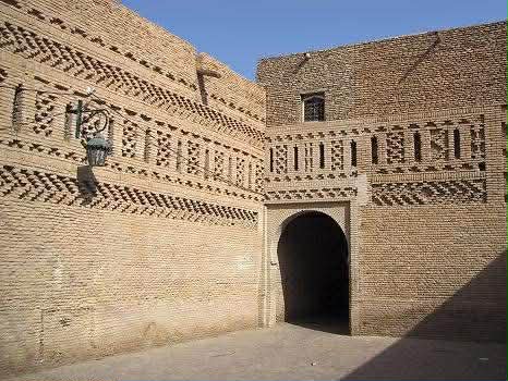 بنايات تونس الأليفة تقهرها أشجار الأسمنت 