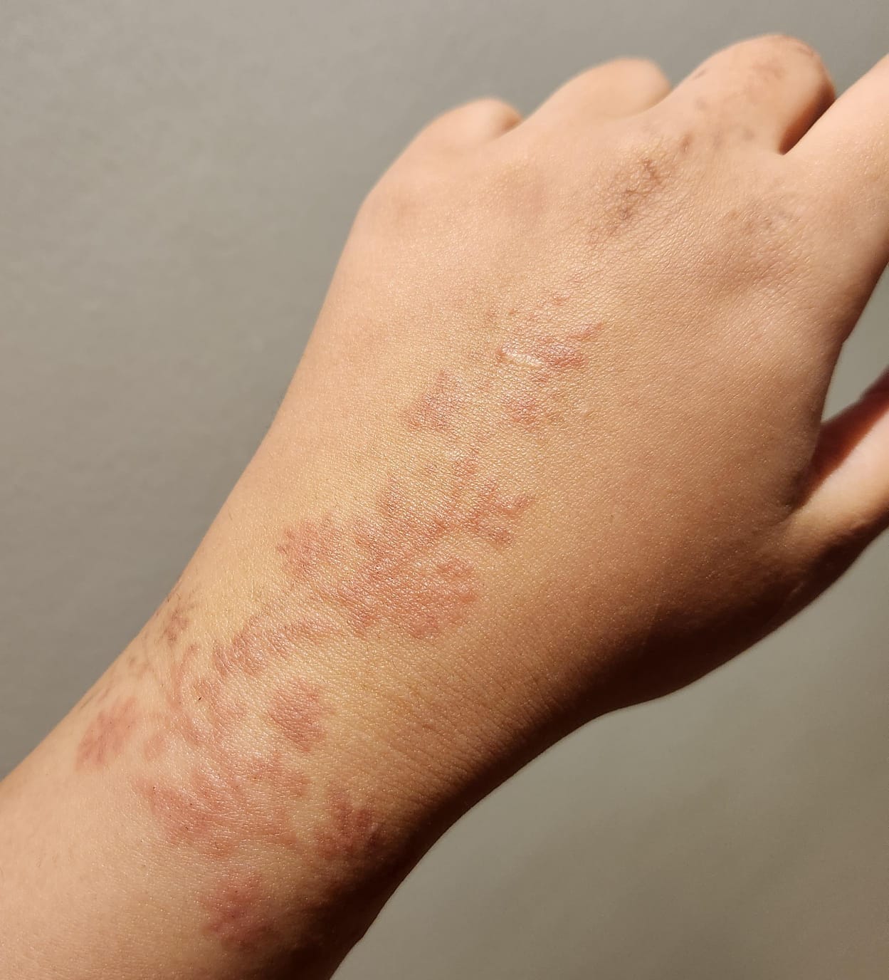 WhatsApp Image 2026-03-05 at 12.30.13 PM.jpeg