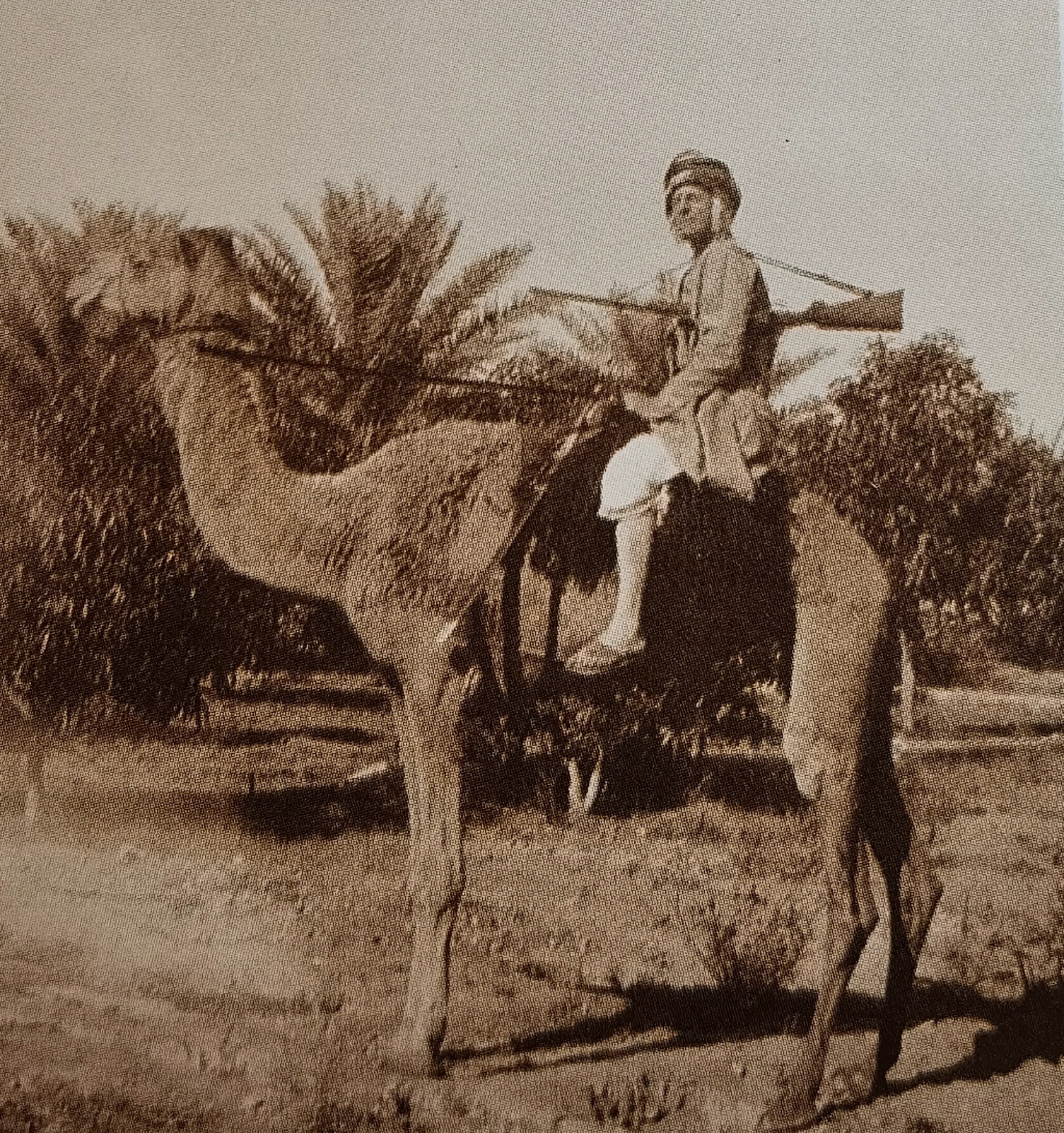 Bertram_Thomas_riding_on_his_favorite_camel__khawarah__during_his_trip_from_Sohar_to_Sharjah_in_1927.jpg