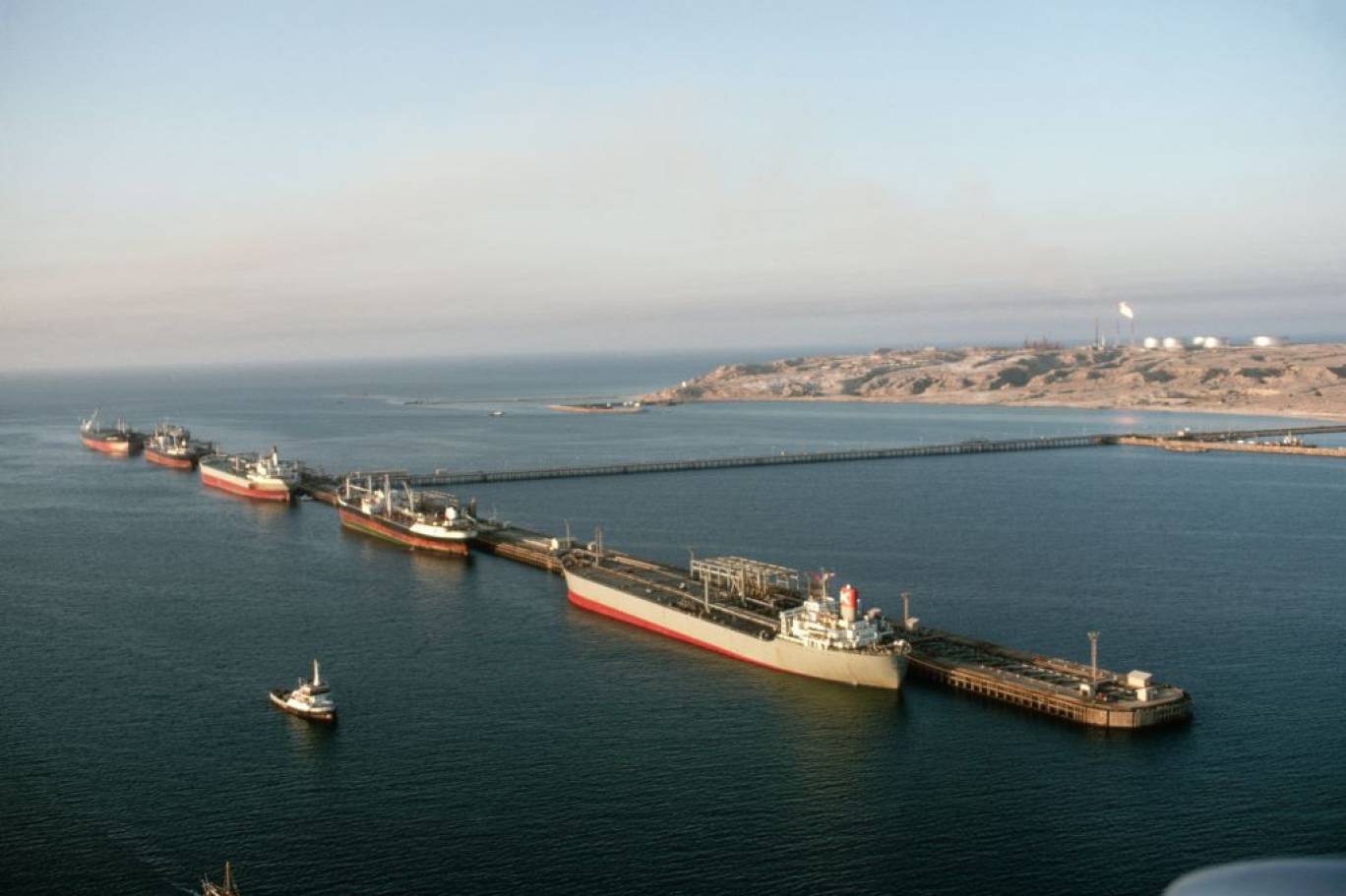 1146174-826019023 (1).jpg