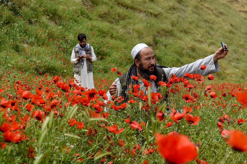 afghanistan afp 2.jpg