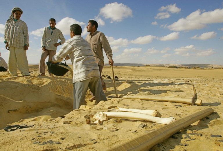 AFP__20041213__NIC2004121303293__v1__MidRes__EgyptMummies.jpg