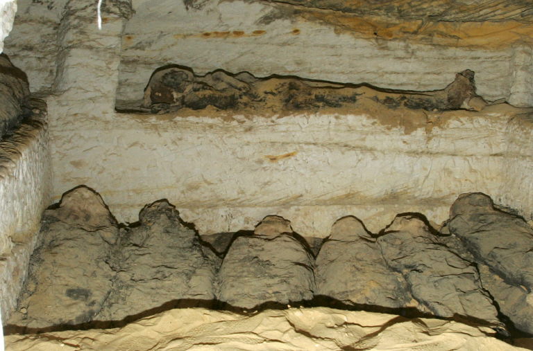 AFP__20041213__NIC2004121303310__v2__MidRes__EgyptMummies.jpg