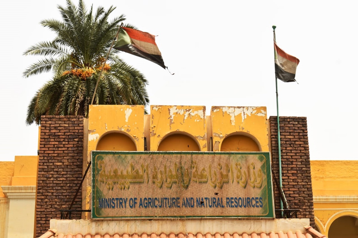 مشروع الجزيرة السوداني... قاطرة اقتصادية تنتظر النهوض