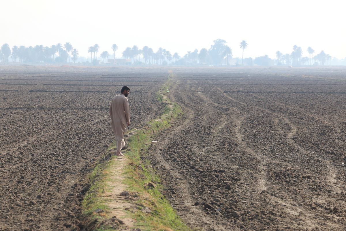 2025-12-16T080029Z_1626534148_RC2A6IAL17DW_RTRMADP_3_IRAQ-WHEAT.JPG