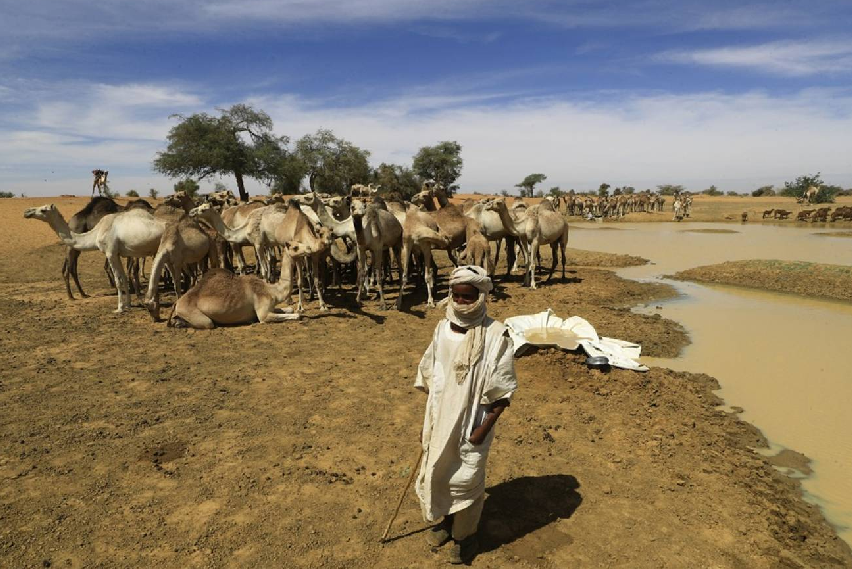السودان ملف.png