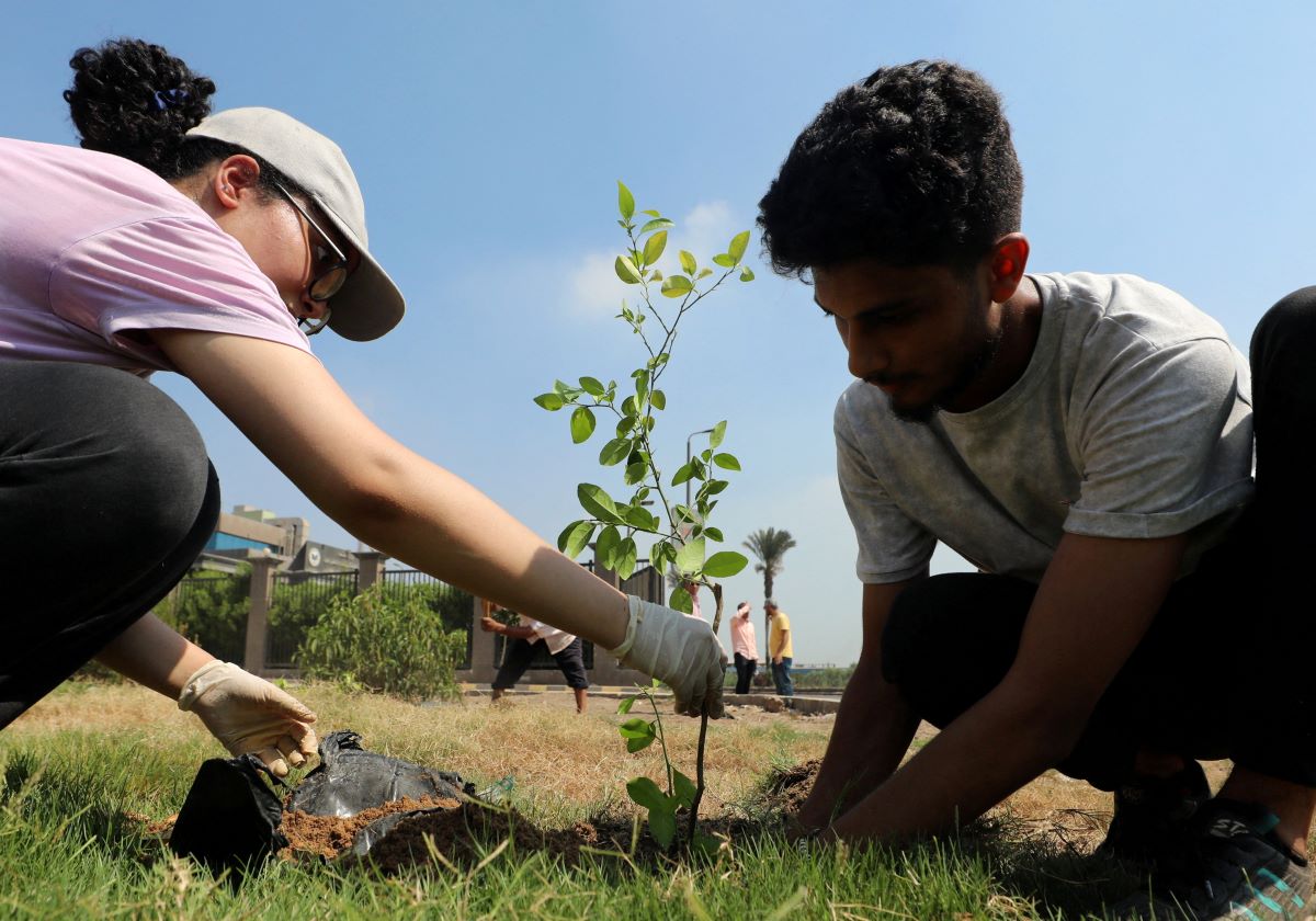2024-07-07T105755Z_1119310496_RC29M8AY5HWG_RTRMADP_3_EGYPT-ENVIRONMENT-PLANTING.JPG