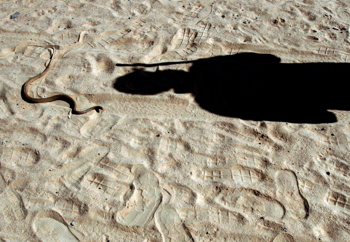 2009-02-19T120000Z_1990830427_GM1E52J1Q6V01_RTRMADP_3_EGYPT.JPG
