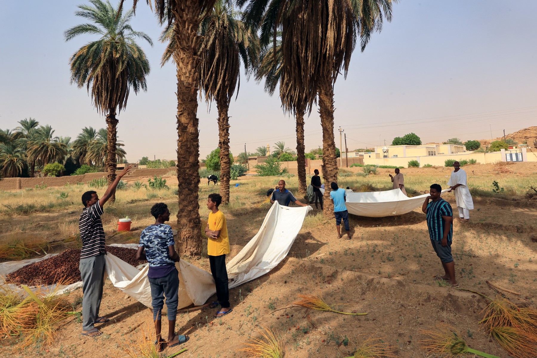 التغيرات المناخية تؤثر في اقتصاديات شمال السودان