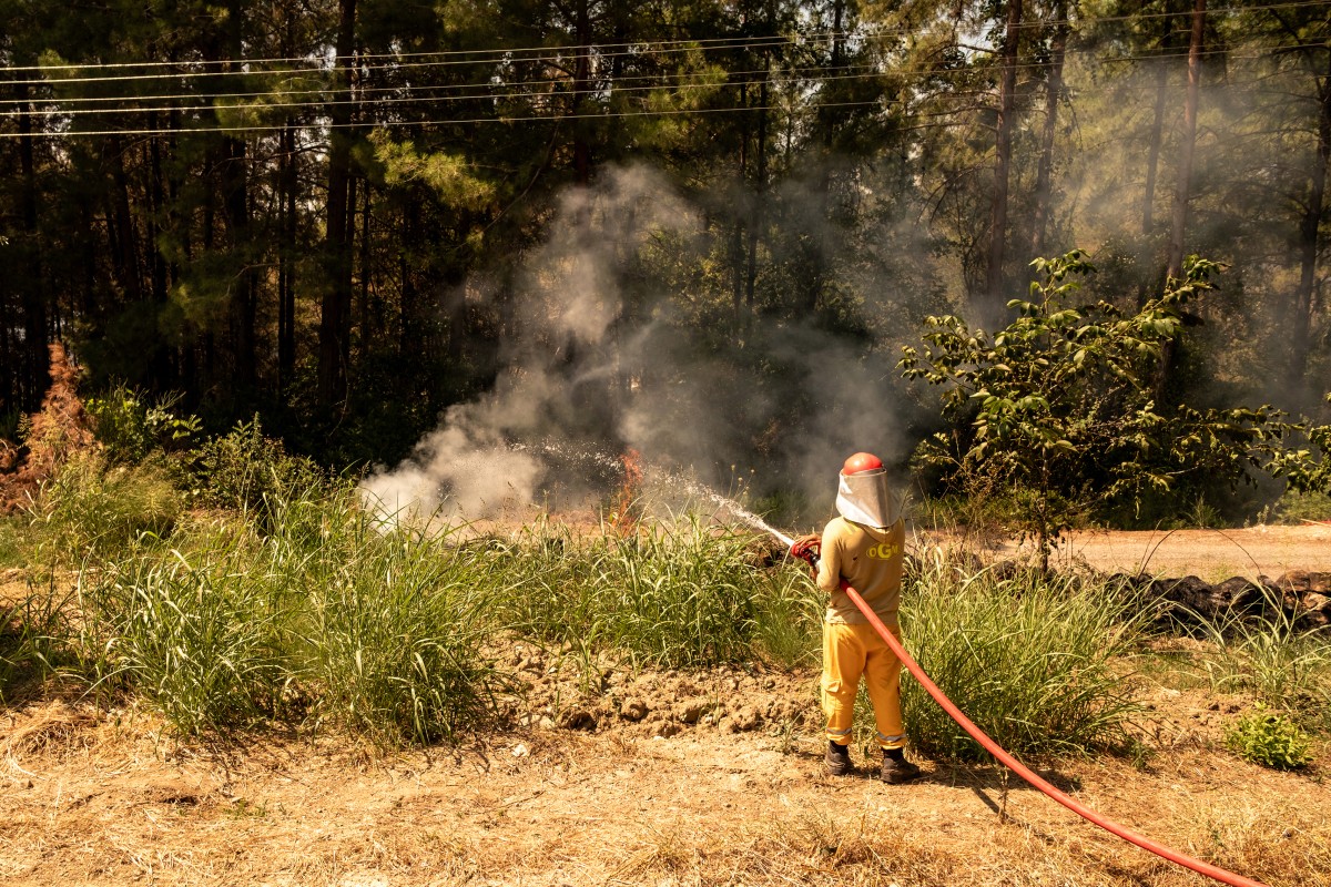 AFP__20260730__C3LU39E__v2__MidRes__TurkeyEnvironmentClimateWildfire.jpg