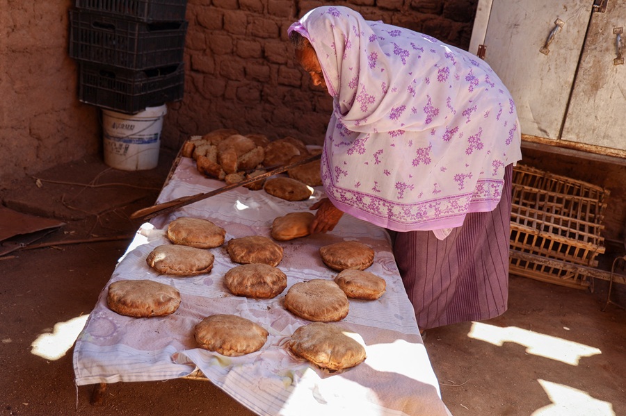 غابات السودان تدفع ثمن رغيف الخبز