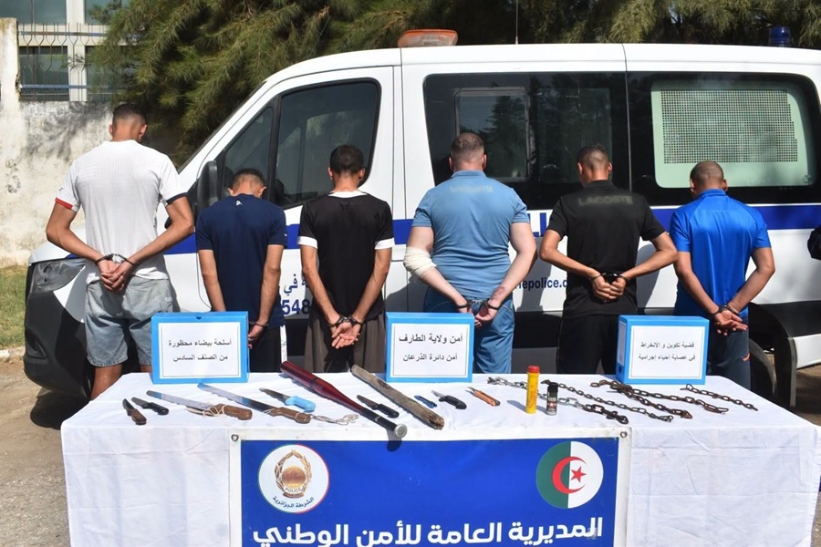 اليقظة الإلكترونية... الجزائر تفعل الإنذار المبكر لتطويق الجريمة