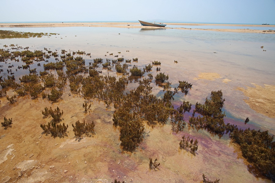 AFP__20260813__C4KF2L7__v1__HighRes__IranUsIsraelWarEnvironment.jpg
