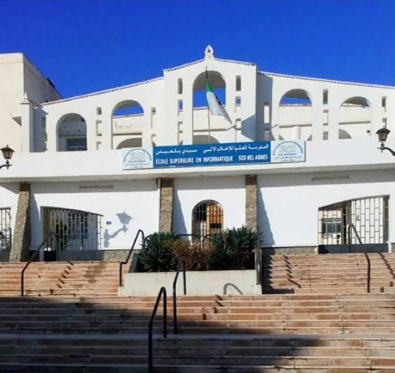 هل تحقق الجزائر سيادتها الرقمية؟