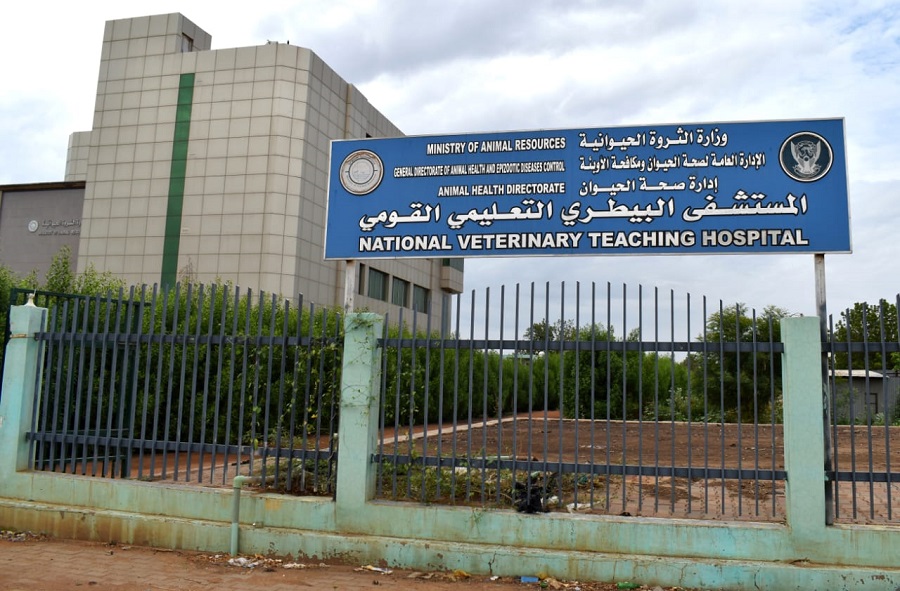 سودان 3.jpg