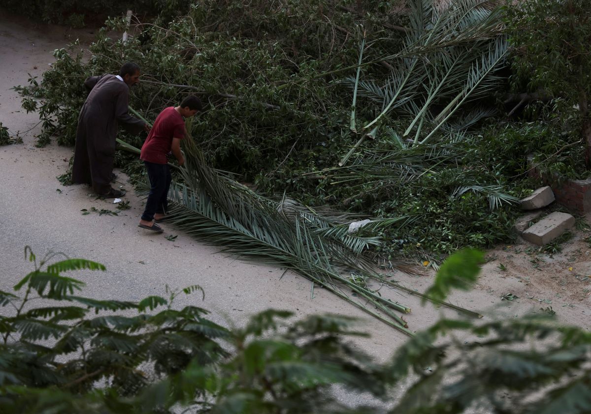 2022-11-06T102133Z_871180454_RC2E0X9QNY76_RTRMADP_3_CLIMATE-UN-EGYPT-ENVIRONMENT.JPG