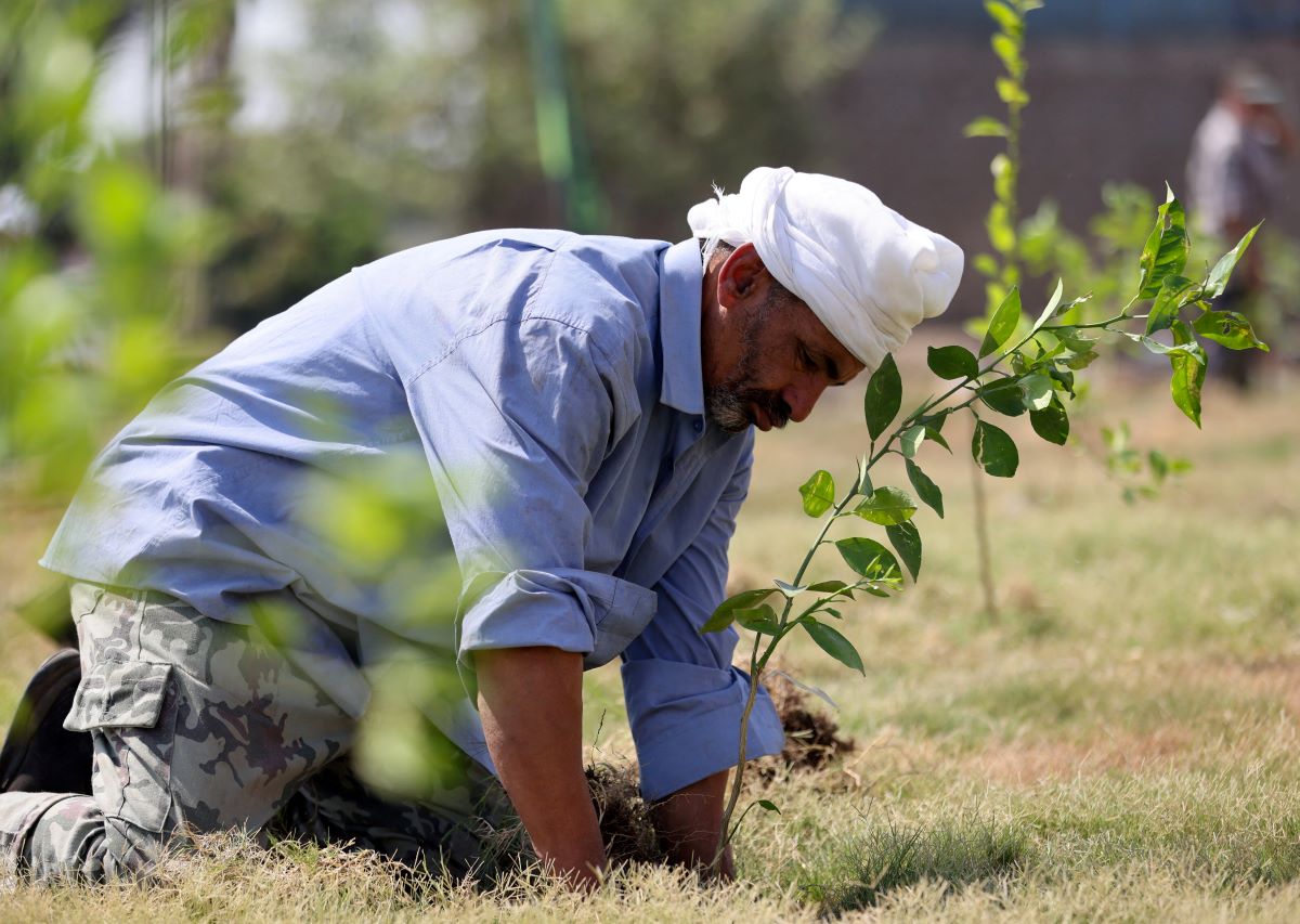2024-07-07T105907Z_447746567_RC29M8ARUBEE_RTRMADP_3_EGYPT-ENVIRONMENT-PLANTING.JPG