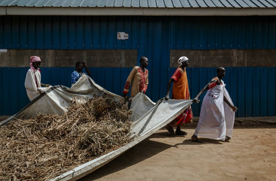 سودانيات يحولن منازلهن إلى مشاريع تعول أسرهن