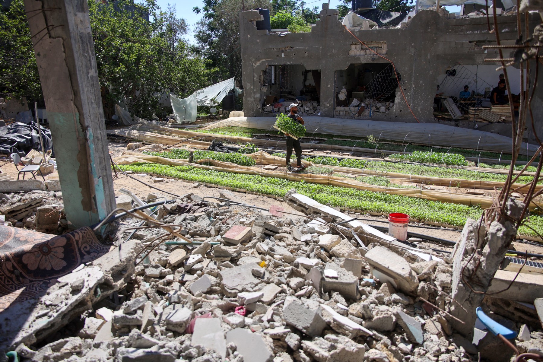AFP__20240718__364F84G__v5__MidRes__PalestinianIsraelConflict.jpg