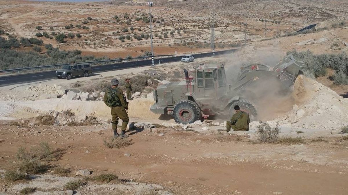 اندبندنت عربية مسم الزيتون في الضفة الغربية  (16).jpg