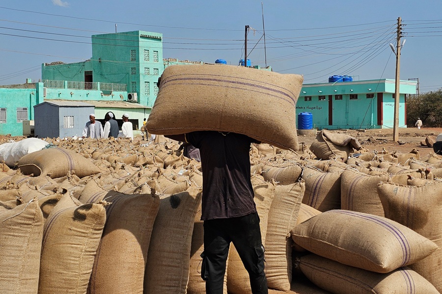 AFP__20251112__83RX8ZR__v1__HighRes__SudanConflictFoodCrops.jpg